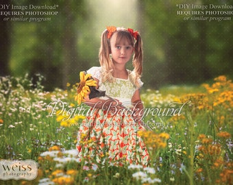 Spring Wild Flowers with Grass Overlay Easter Kids Background Photography Digital Background