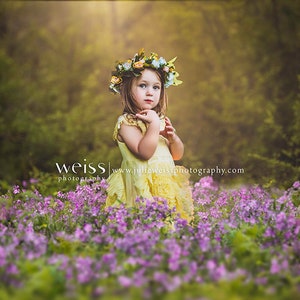 Purple Flower Spring Easter Composite Image - Digital Photography Background / Backdrop With A Foreground Image
