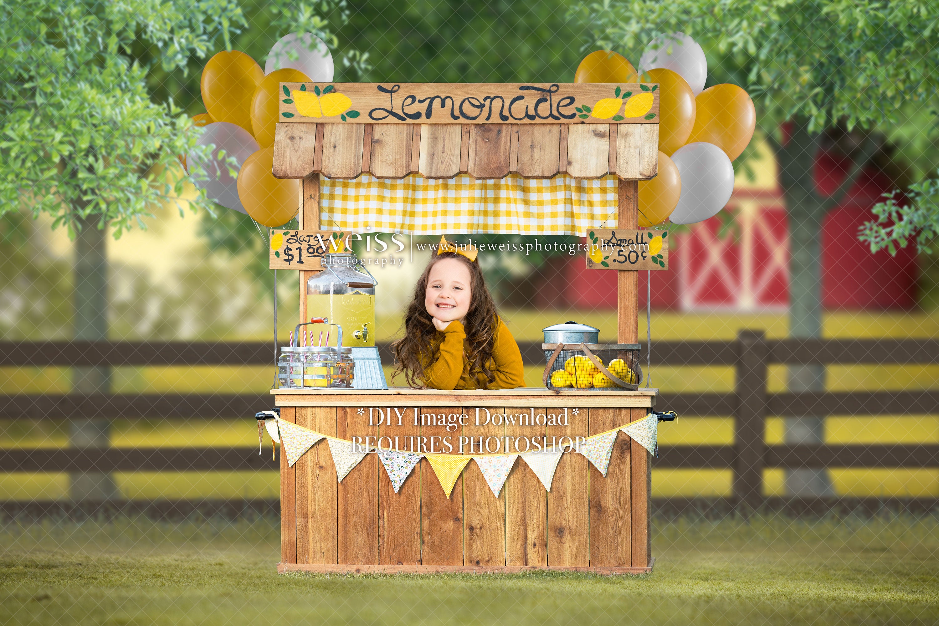 Lemonade Stand Digital Backdrop Overlay - Etsy