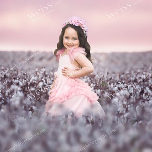 Cotton Field Composite Image - Digital Photography Background / Backdrop With A Foreground Image
