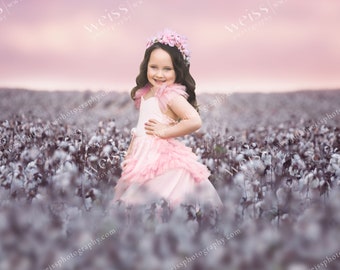 Cotton Field Composite Image - Digital Photography Background / Backdrop With A Foreground Image