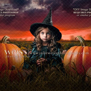 Halloween Autumn Pumpkin Background Digital Family Backdrop Overlay