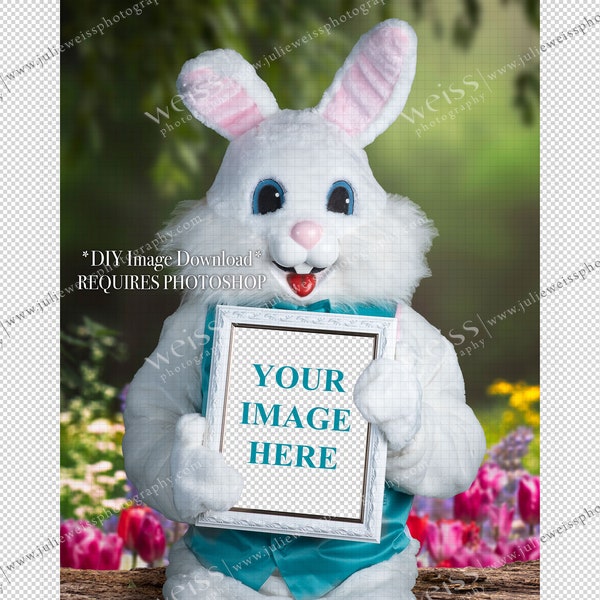 Easter Bunny In A Costume Holding a Picture Frame