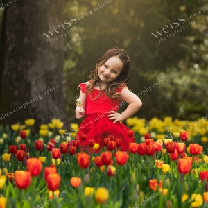 Spring Tulip Flower Field Overlay Easter Kids Background Photography Digital Background