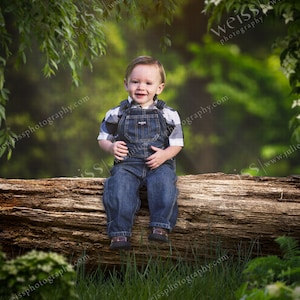Peut inclure: Un jeune garçon portant une chemise à carreaux bleus et blancs et une salopette bleue est assis sur une grosse bûche dans un décor de forêt. L'arrière-plan est flou et présente une végétation verte et des fleurs blanches.