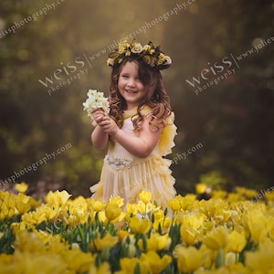Spring Tulip Flower Field Overlay Easter Kids Background Photography Digital Background