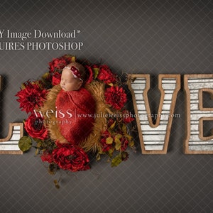 Newborn Digital Backdrop - LOVE Backdrop / Background With Roses And Farmhouse Letters