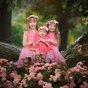 May include: Three young girls wearing pink dresses and flower crowns sit on a tree branch. The girls are smiling and looking at the camera. The background is a blurred image of green trees and pink flowers.