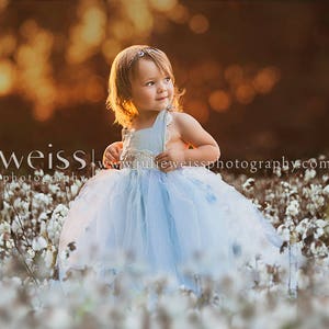 Cotton Field Composite Image - Digital Photography Background / Backdrop With A Foreground Image