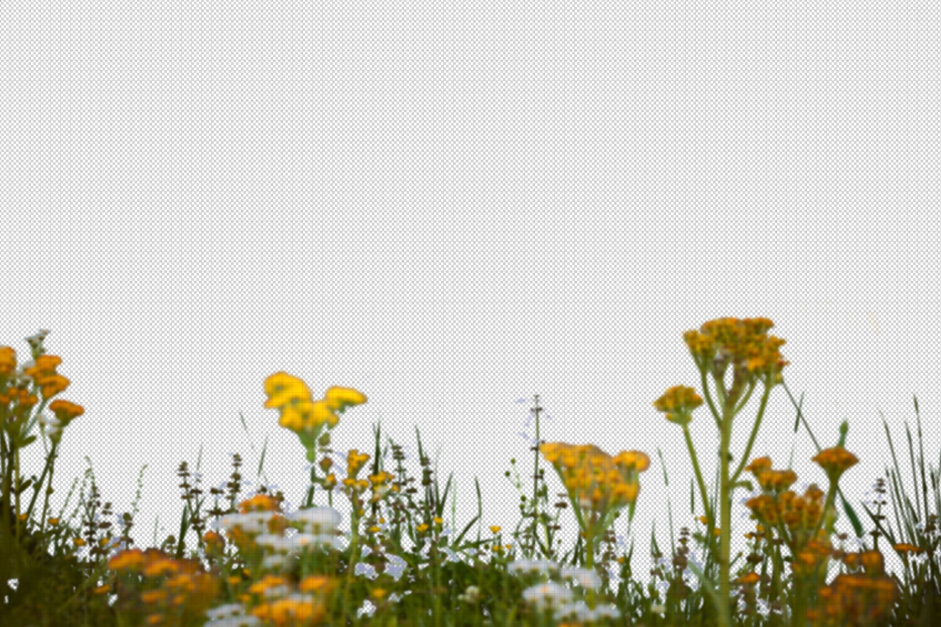 Spring Wild Flowers With Grass Overlay Easter Kids Background - Etsy