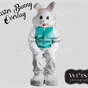 Easter Bunny Costume Sitting Digital Overlay PNG Transparency
