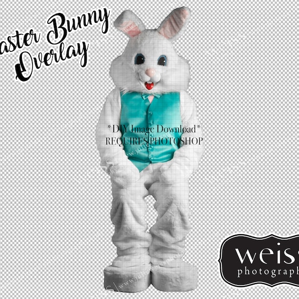 Easter Bunny Costume Sitting Digital Overlay PNG Transparency