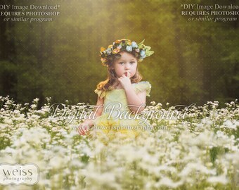 White Flower Spring Easter Composite Image - Digital Photography Background / Backdrop With A Foreground Image
