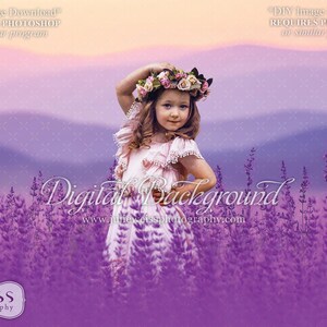 Lavender Field Background Digital Backdrop Flower Overlay
