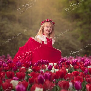 Spring Tulip Flower Field Overlay Easter Kids Background Photography Digital Background