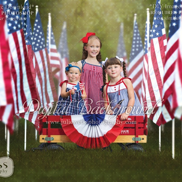 Patriotic 4th of July Veterans Day Flag Background Backdrop with Overlay