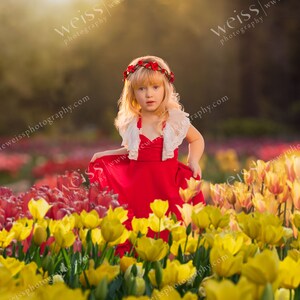 Spring Tulip Flower Field Overlay Easter Kids Background Photography Digital Background