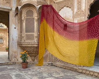 Dupatta in chiffon bicolore con stampa dorata – Elegante stile sfumato