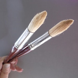 May include: Two paintbrushes with natural bristles and wooden handles. The brushes are held together by a hand.