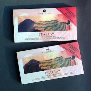 MAGNANI 1404 ITALIA DS Cream Toned 140lb Cold Press Italian Cotton Paper Sheet Pad For Drawing Mixed Media Gouache Plein Air Travel Sketches