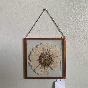 May include: A framed pressed flower with a copper-colored metal frame and chain. The flower is white with a brown center and is displayed on a clear background. The frame is square and hangs from a chain.