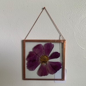 May include: A square, copper-framed pressed flower art piece. The frame holds a vibrant purple flower with a yellow center, suspended between two clear glass panes. A delicate copper chain is used for hanging the artwork.