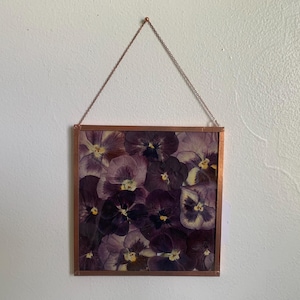 Pressed purple Pansy Flower Copper Float Frame // Preserved Floral Art // Created by GreenValleyBotanical