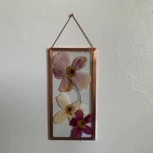 Pressed Pink and Cream Japanese Anemone Flowers // Copper Float Frame // Created by GreenValleyBotanical