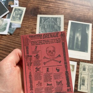 K&ouml;nnte beinhalten: Eine rote Karte mit dem Text "CALAVERA DEL DRENAJE" und Illustrationen von Totenk&ouml;pfen und Knochen. Die Karte wird in einer Hand gehalten, mit anderen Vintage-Bildern im Hintergrund. Der Text der Karte ist auf Spanisch.