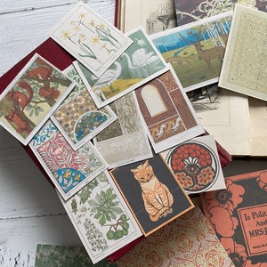 May include: A collection of vintage-style postcards featuring botanical illustrations, animals, and decorative patterns. The cards are arranged on a burgundy book, with additional antique books and patterned paper visible. The color palette includes greens, oranges, and browns.