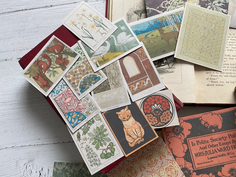 May include: A collection of vintage-style postcards featuring botanical illustrations, animals, and decorative patterns. The cards are arranged on a burgundy book, with additional antique books and patterned paper visible. The color palette includes greens, oranges, and browns.