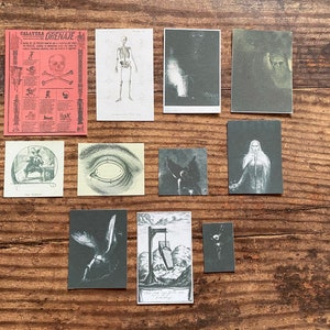 K&ouml;nnte beinhalten: Eine Sammlung kleiner Kunstdrucke im Vintage-Stil mit anatomischen Illustrationen, Skelettdiagrammen und surrealen Bildern. Die Drucke sind in Grau-, Schwarz- und Rott&ouml;nen gehalten, mit etwas Text auf Spanisch. Die Drucke sind auf einer Holzoberfl&auml;che angeordnet.