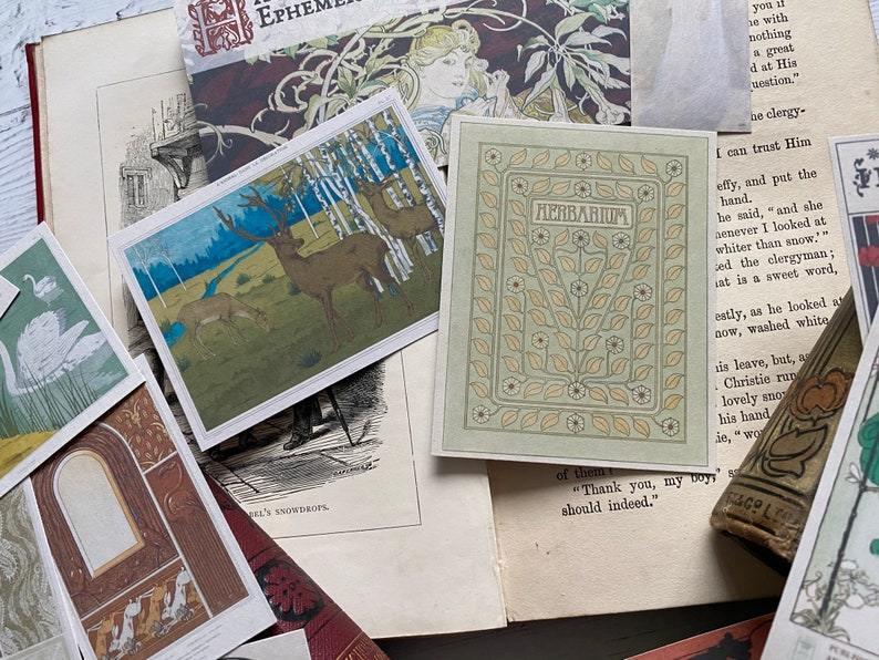 May include: A collection of vintage ephemera, including postcards and book pages. One postcard features deer in a forest scene, another reads "HERBARIUM" with floral accents. The items are arranged on a light-colored surface.