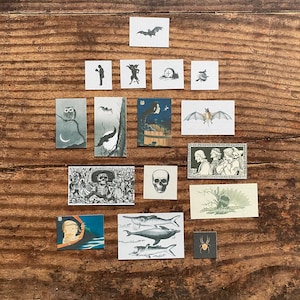 K&ouml;nnte beinhalten: Eine Sammlung kleiner, quadratischer, Vintage-Stil Halloween-Illustrationen auf einer Holzoberfl&auml;che. Die Bilder zeigen Flederm&auml;use, Eulen, Totenk&ouml;pfe und andere gruselige Bilder, ideal f&uuml;r Bastel- oder Scrapbooking-Projekte.