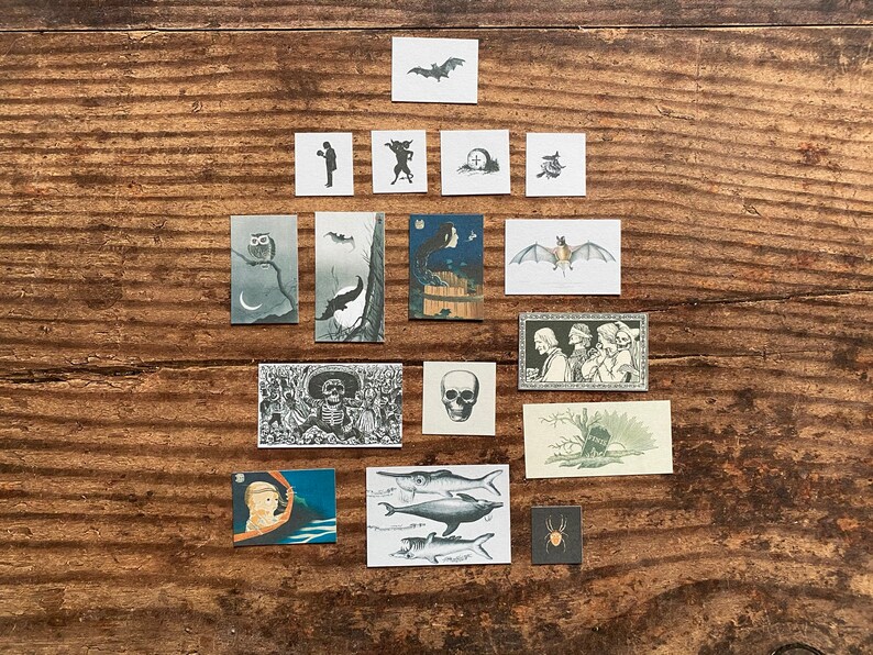 K&ouml;nnte beinhalten: Eine Sammlung kleiner, quadratischer, Vintage-Stil Halloween-Illustrationen auf einer Holzoberfl&auml;che. Die Bilder zeigen Flederm&auml;use, Eulen, Totenk&ouml;pfe und andere gruselige Bilder, ideal f&uuml;r Bastel- oder Scrapbooking-Projekte.