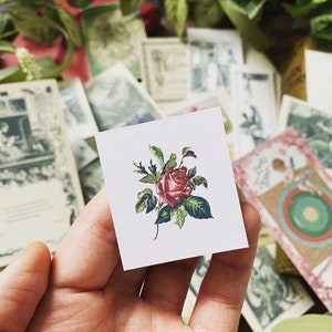 May include: A small, square sticker featuring a detailed illustration of a red rose with green leaves. The sticker is held in a hand, with other vintage-style ephemera in the background. The rose is the focal point, with intricate details.