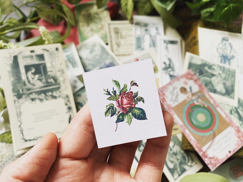 May include: A small, square sticker featuring a detailed illustration of a red rose with green leaves. The sticker is held in a hand, with other vintage-style ephemera in the background. The rose is the focal point, with intricate details.