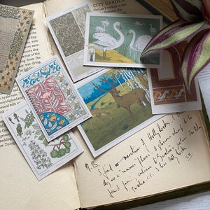 May include: A collection of vintage postcards and ephemera, including botanical illustrations, swan imagery, and decorative patterns, arranged on an open book with handwritten notes. The color palette includes greens, blues, and browns.