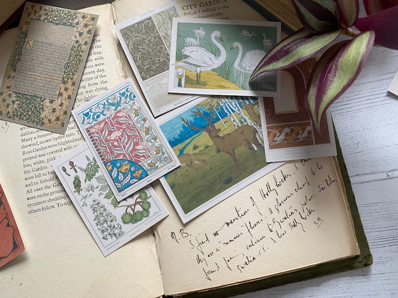 May include: A collection of vintage postcards and ephemera, including botanical illustrations, swan imagery, and decorative patterns, arranged on an open book with handwritten notes. The color palette includes greens, blues, and browns.