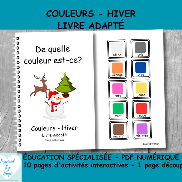 Livre adapté aux couleurs, Livre Hiver Noël imprimable, Ressource sur l’autisme TSA, Éducation spécialisé, correspondance - tri Adapted Book