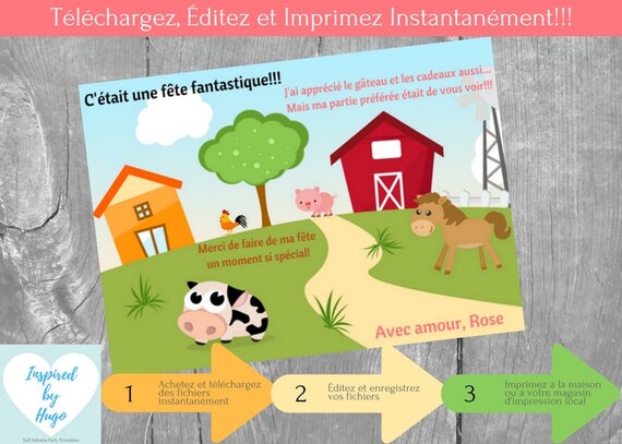 Ferme Invitation Fete D Anniversaire Fille Et Carte De Etsy India