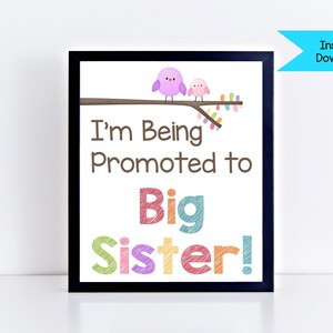 Pregnancy Announcement Sign ~ Big Sister Pregnancy Reveal Photo Prop ~ I&#39;m Being Promoted to Big Sister Digital Printable ~ Digital Print