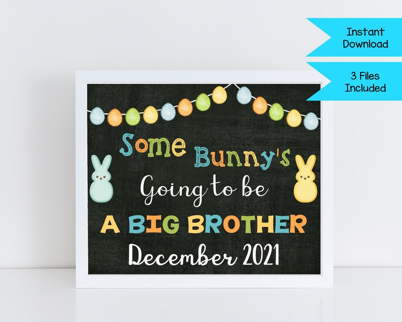Easter Pregnancy Announcement Sign ~ Big Brother Pregnancy Reveal Photo Prop ~ Some Bunny/'s Going to be a Big Brother ~ Spring Baby