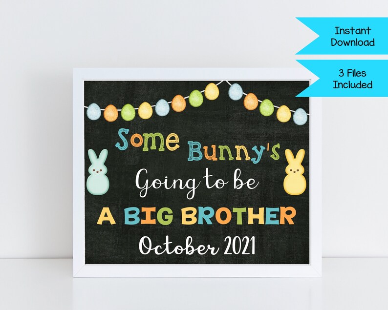 Easter Pregnancy Announcement Sign ~ Big Brother Pregnancy Reveal Photo Prop ~ Some Bunny/'s Going to be a Big Brother ~ Spring Baby
