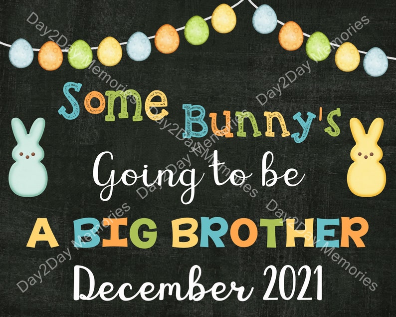 Easter Pregnancy Announcement Sign ~ Big Brother Pregnancy Reveal Photo Prop ~ Some Bunny/'s Going to be a Big Brother ~ Spring Baby