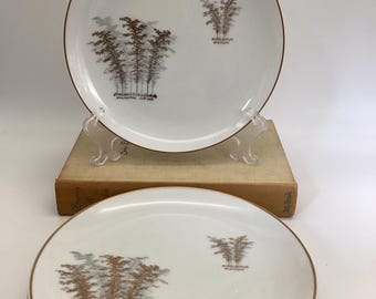 Fukagawa Arita Porcelain Plates - Bamboo Design - Set of 4