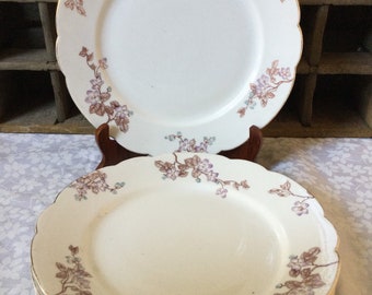 Antique Aesthetic Era Transferware Set of 4 Luncheon / Salad Plates /Flowers on the Branch / Purple / Baby Blue / Brown / Austrian China