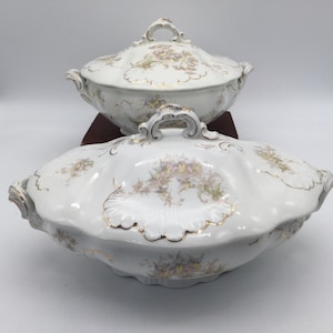 Antique Bishop & Stonier W335 Imperial Semi Porcelain Choice of Covered Casseroles /  Aesthetic Era Transfer / 1896