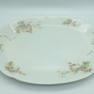 Antique Bishop & Stonier W335 Imperial Semi Porcelain Large Aesthetic Era Transferware Platter / 1896