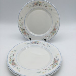 Vintage Arcopal France Victoria  Pattern / Set of 4 Salad  Plates / 7.75” / Opal Glass / France / Discontinued